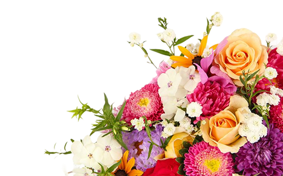 hero-flower.png